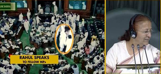 rahul in lok sabha